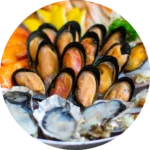 recipe-category